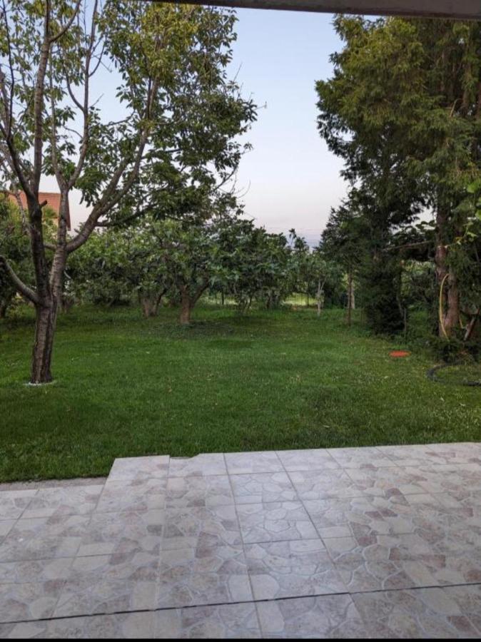 Apartment Filipovic Podgorica Exteriér fotografie